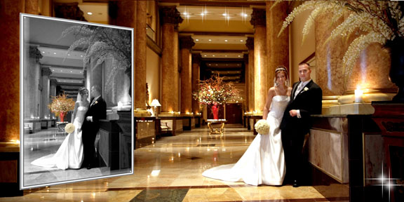 sample album baner 
